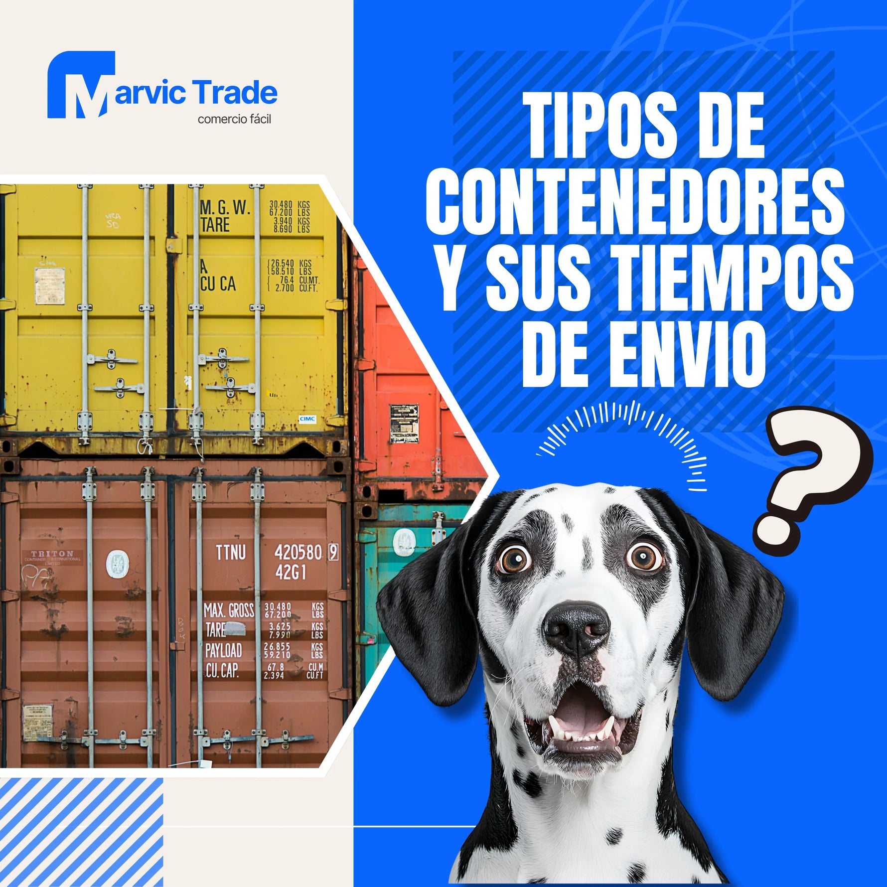 foto de un dalmata preguntandose los tipos de contenedores y sus tiempos de llegada desde china a sudamerica